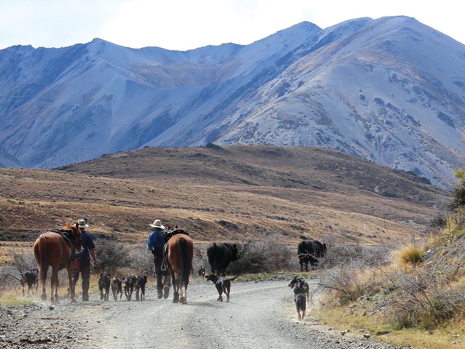 Rangitahi and Molesworth: tracing a station’s name