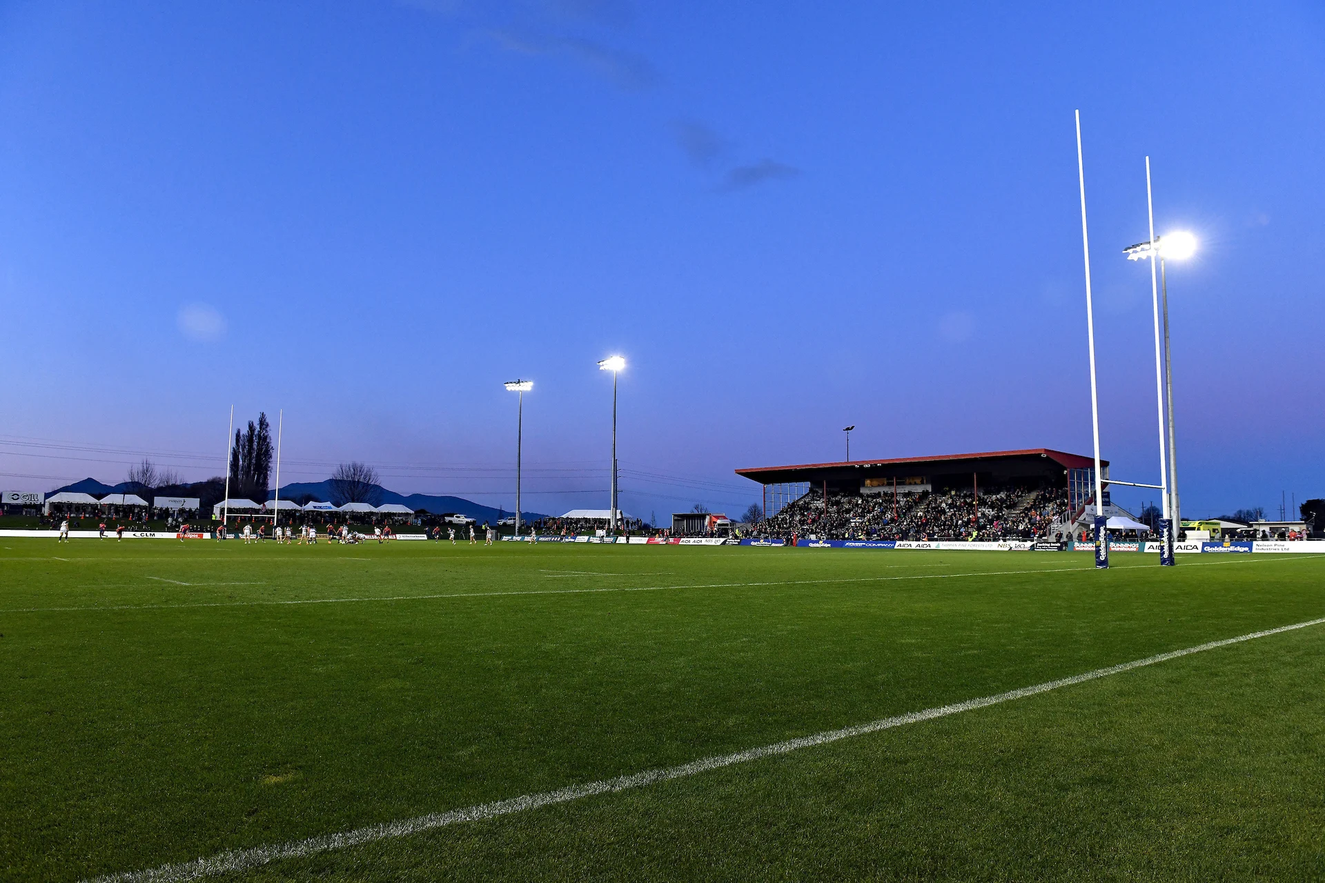 Veteran halfback in Tasman line-up for Wellington clash