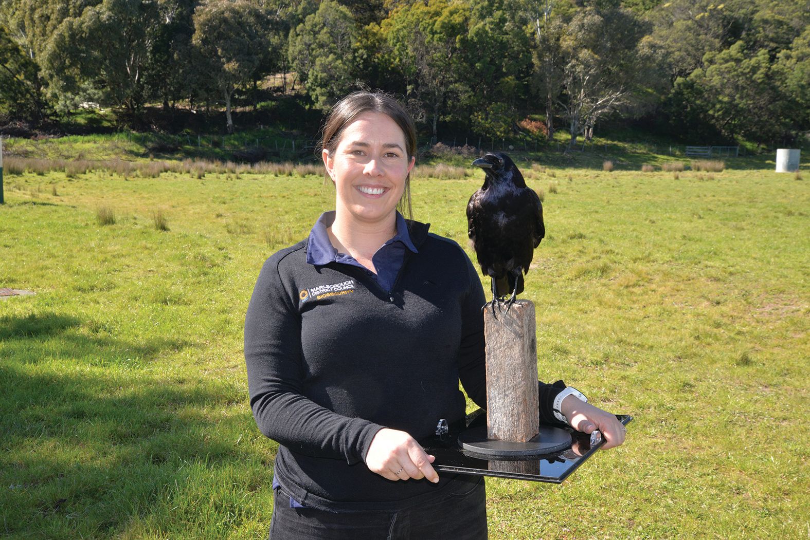 Pest watch puts public on the lookout