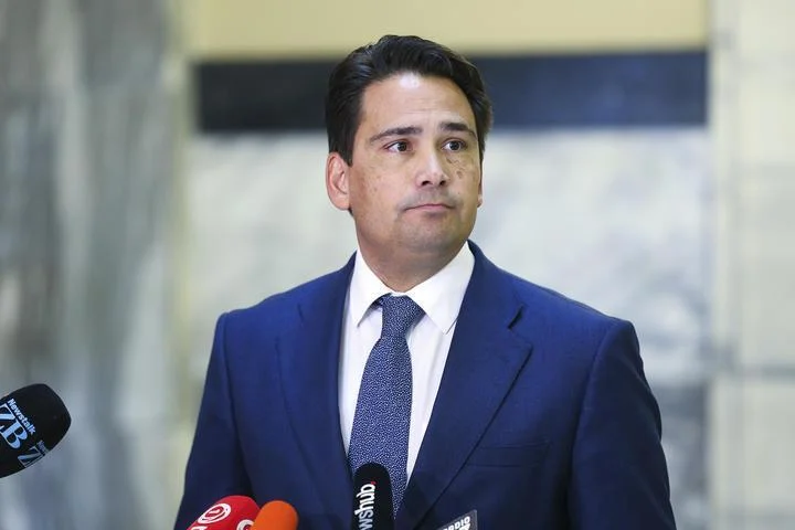 Nelson man admits sending abusive messages to National leader