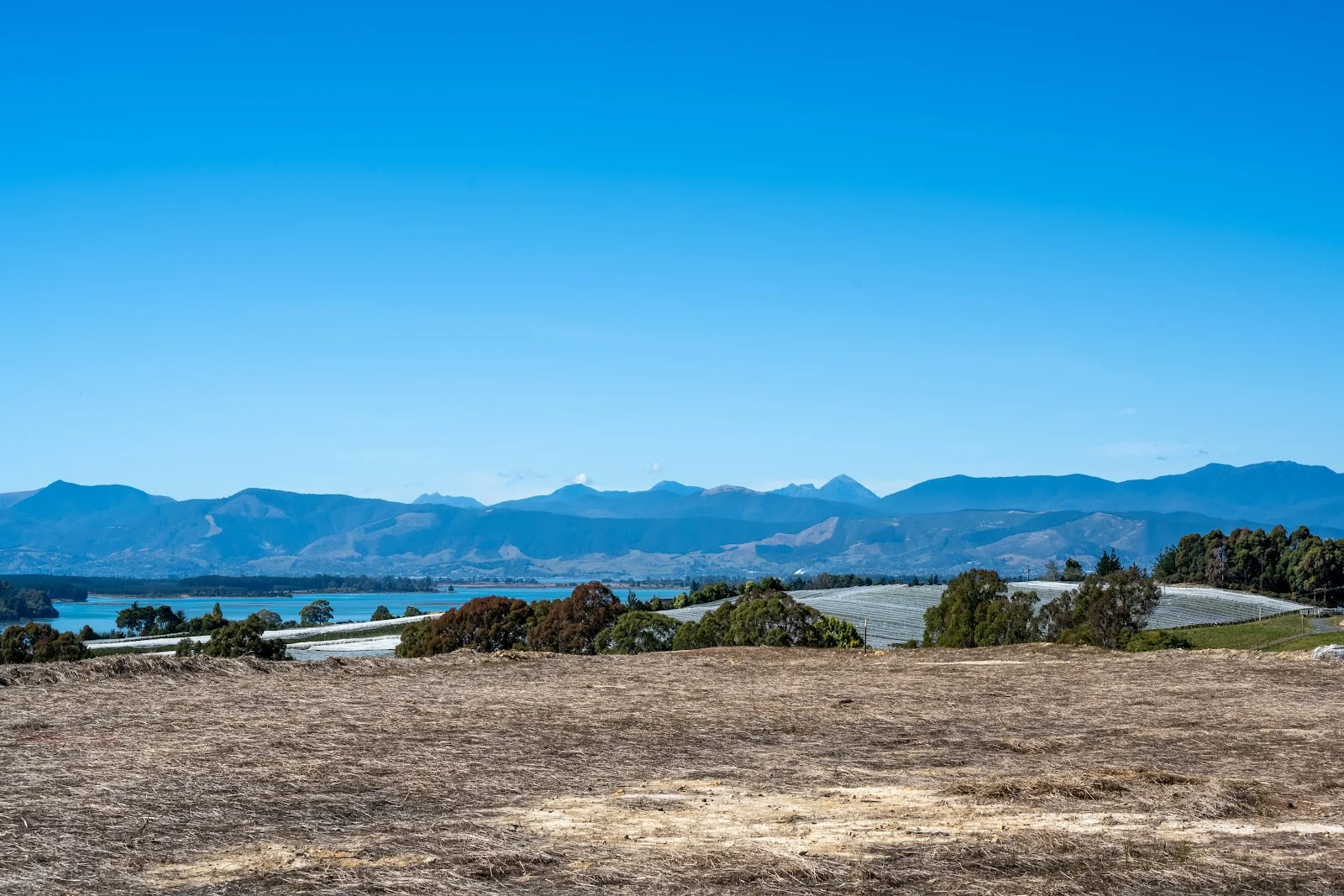 5 Murphys Way, Mapua, Tasman, 7173 - Thumbnail 2