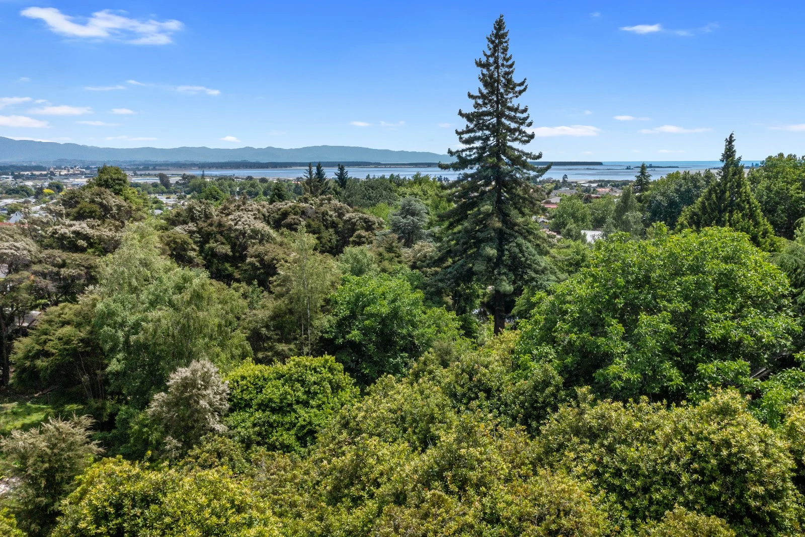 51 Selbourne Avenue, Richmond, Tasman, 7020 - Thumbnail 3