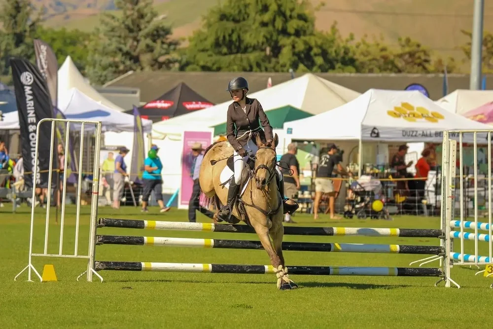 Marlborough A&P show - Image 3 of 3