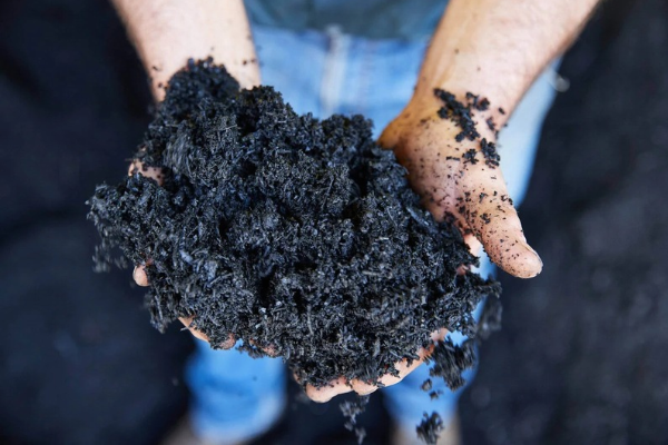 Biochar Workshop