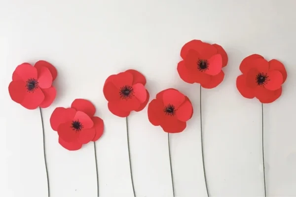 Nelson ANZAC Services & Parades