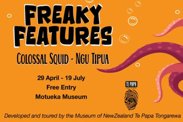 Freaky Features Colossal Squid Ngu Tipua