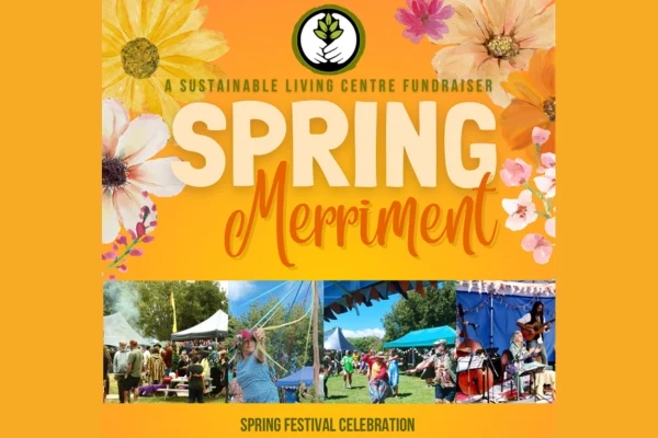 Spring Festival Celebration