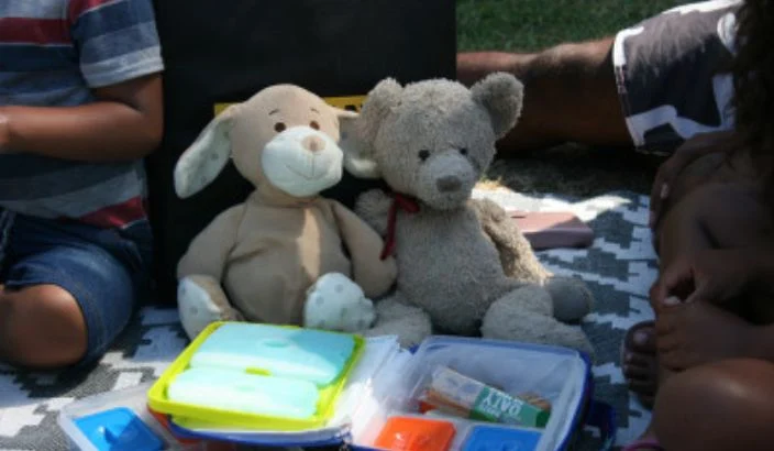 Teddy Bears' Picnic