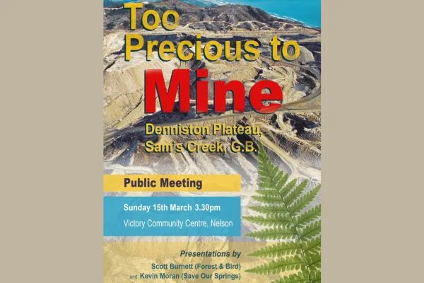 Too Precious to Mine