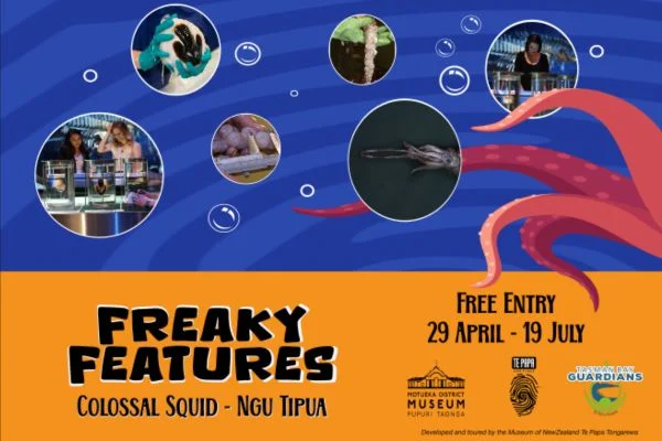 Colossal Squid: Freaky Features!