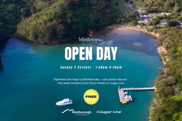 Open Day in The Bay