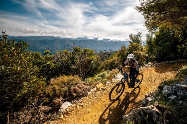 NZ MTB Rally 2026