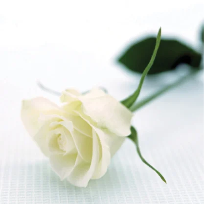 Private Listing logo