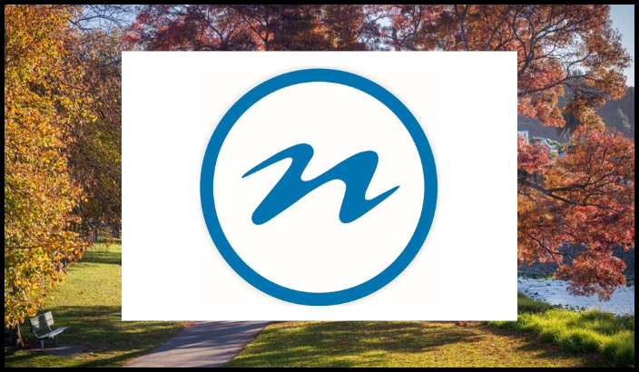 Nelson City Council logo