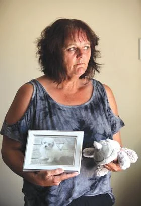 Pet believed poisoned