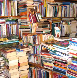 Quakes knock book shop