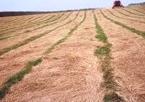 Farmers battle on