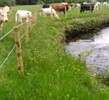 River beds to be fenced