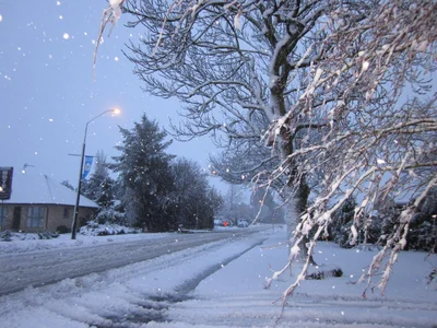Heavy inland snow, schools closed