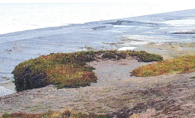 Hakatere hit by wild weather