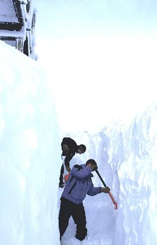 Skiers expected in numbers
