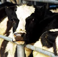 Positive news for farmers