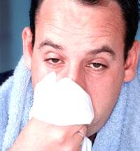 Big dip in flu cases