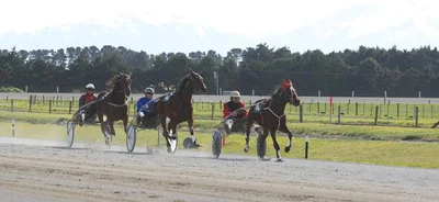 A three-horse race