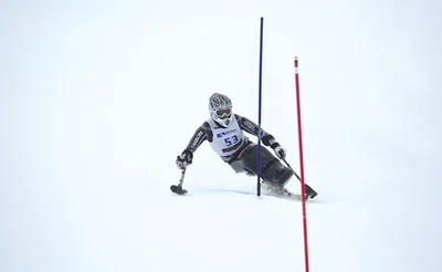 Kiwi top of podium