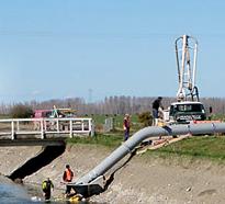 BCI granted consent