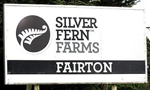 Silver Ferns 'building trust'