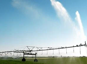 MPs push water storage