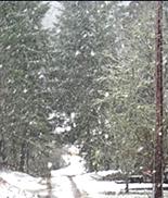 Rain, snow on the way