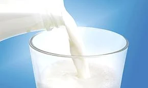 'Scrap the milk auctions'
