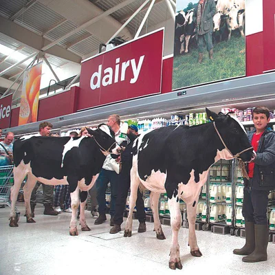 Dairy farmers leaving the land en masse in UK