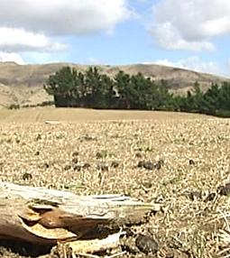 Farmers braced for El Nino