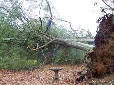 Wild weather warning