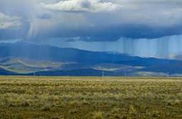 Rain very welcome
