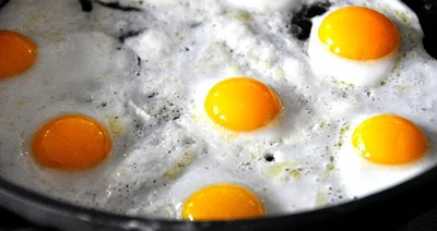 Eggs back in favour