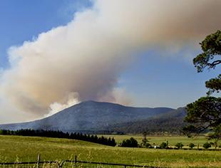 Stubble burning to continue