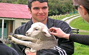 Farm stays 'a gold mine'
