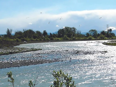 Water a precious commodity
