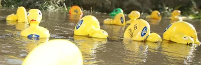 Hinds to hold a duck race