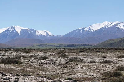 Revegetation – it’s succession