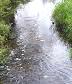 Carters Creek back on agenda