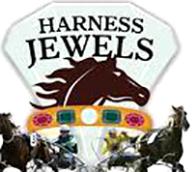 Harness Jewels in chaos