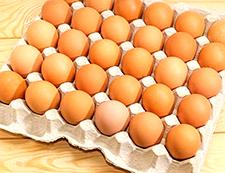 Millions of eggs sold as 'free range'