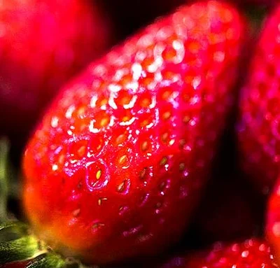 Needle found in strawberry in Geraldine