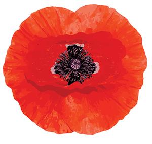 Remember them every day