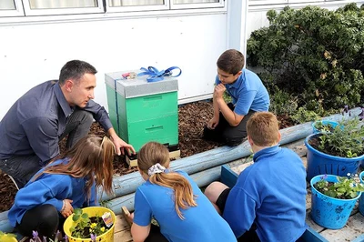 Bees the buzz at school